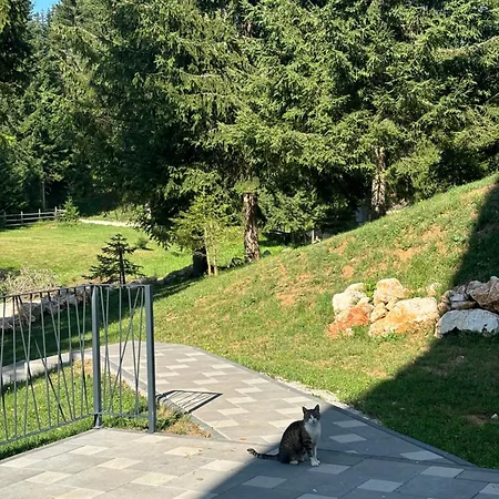 Harmony Peak Apartment