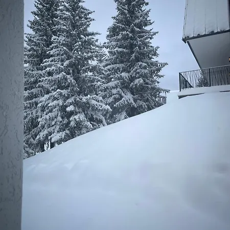 Harmony Peak Lejlighed *