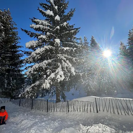 Apartment Harmony Peak