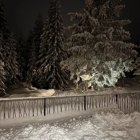 Lejlighed Harmony Peak *