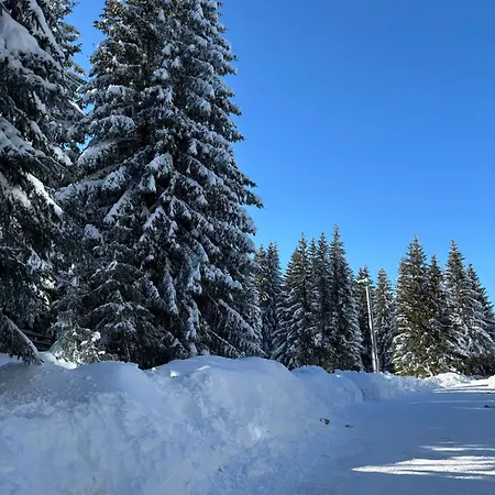 Harmony Peak Lejlighed