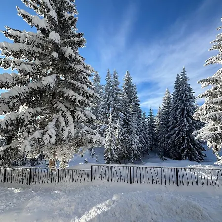 Apartment Harmony Peak Jahorina