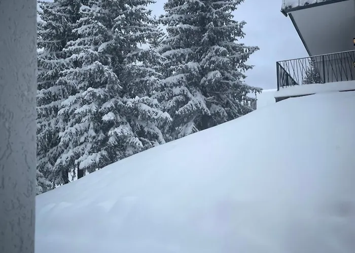 Harmony Peak Apartment *